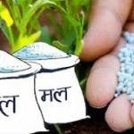 सरकारले नयाँ मल नियन्त्रण आदेशको तयारी सरकारले नयाँ मल नियन्त्रण आदेशको तयारी