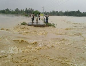 यस वर्ष बाढी,डुबान,कटानका घटना बढने र पहिरो धेरै जाने