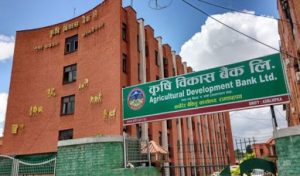 कृषि विकास बैंकका ग्राहकले कर्जाको हर्जाना व्याजमा शतप्रतिशतसम्म छुट पाउने कृषि विकास बैंकका ग्राहकले कर्जाको हर्जाना व्याजमा शतप्रतिशतसम्म छुट पाउने
