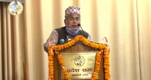 विवादास्पद अभिव्यक्ति फिर्ता लिएर आत्मालोचना गर्न प्रदेश सांसदलाई कांग्रेसको निर्देशन