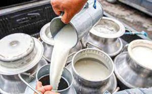 डीडीसीले दूध किसानलाई तिर्न अझै १५ करोड बाँकी