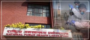 थप ४९० जनामा सङ्क्रमण पुष्टि, छ जनाको मृत्यु