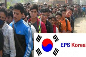 ईपीएस मार्फत कोरिया जाने कामदारको भिसा शुल्क बढ्यो ईपीएस मार्फत कोरिया जाने कामदारको भिसा शुल्क बढ्यो