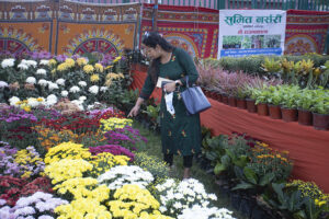 फ्लोरिकल्चर एसोसिएसन नेपालले वर्षौंदेखि गर्दै आएको पुष्प मेला यस पटक दुई ठाउँमा हुने फ्लोरिकल्चर एसोसिएसन नेपालले वर्षौंदेखि गर्दै आएको पुष्प मेला यस पटक दुई ठाउँमा हुने