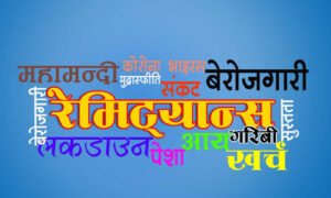 नेपालकाे वैदेशिक राेजगार, रेमिट्यान्स रकम र अर्थतन्त्रमा यसकाे प्रभाव