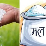 झापामा साल्ट ट्रेडिङद्वारा मल वितरण