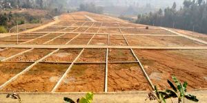 घरजग्गा कारोबारबाट गत माघमा पाँच अर्ब राजस्व सङ्कलन घरजग्गा कारोबारबाट गत माघमा पाँच अर्ब राजस्व सङ्कलन
