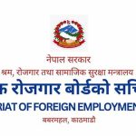 वैदेशिक रोजगार बोर्डको कार्यकारी निर्देशकका लागि आवेदन खुला